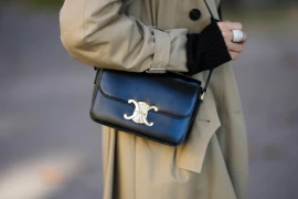 Why People Are Obsessed With Celine Triomphe Bag