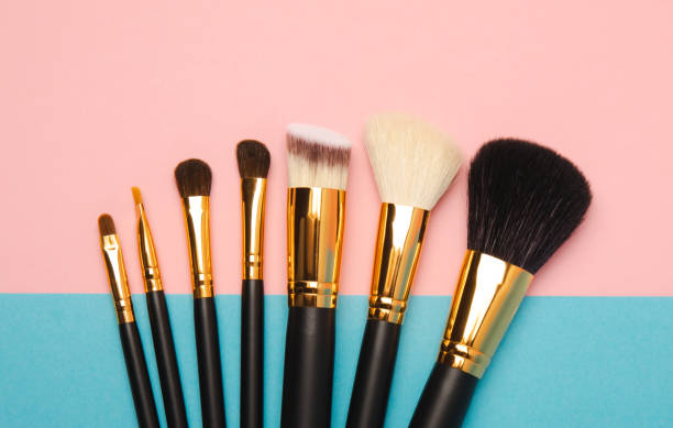 What Are The Different Types of Makeup Brushes And Their Uses?